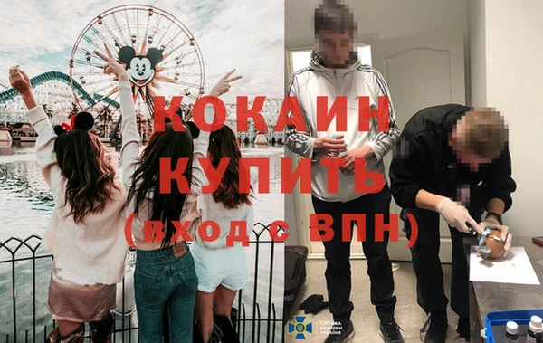 индика Каменск-Шахтинский