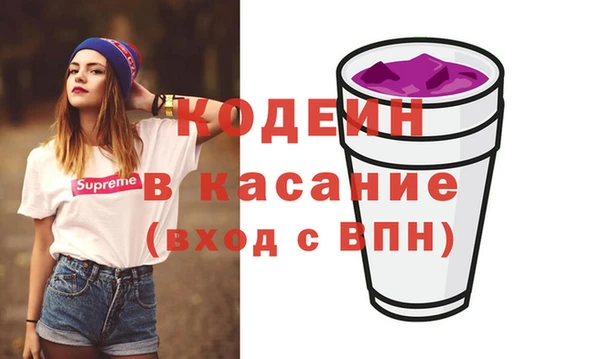 индика Каменск-Шахтинский