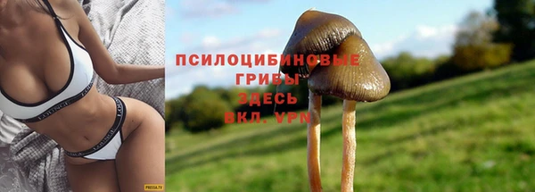 кокаин перу Каменногорск