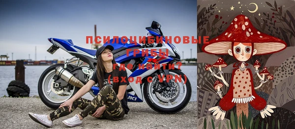 индика Каменск-Шахтинский