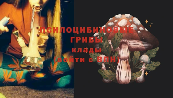 каннабис Каменка