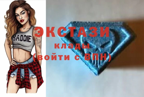 индика Каменск-Шахтинский
