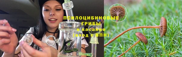 кокаин перу Каменногорск